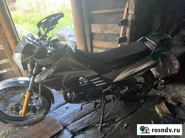 Racer forester rc200lt Междуреченск - изображение 1