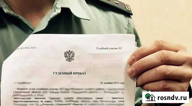 Судебный приказ Новосибирск - изображение 1