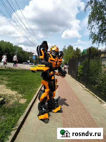 Ростовая кукла Домодедово - изображение 1