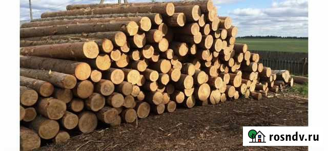 Лес на корню, делянки Пестяки - изображение 1