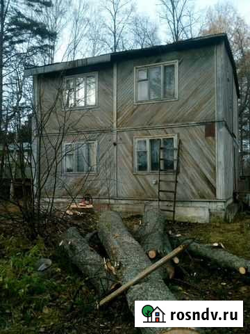 Спил деревьев Петрозаводск - изображение 1