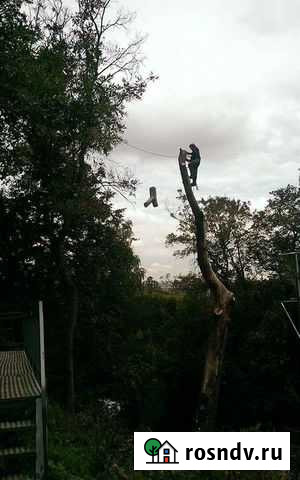 Спил и обрезка деревьев, расчистка участков Уфа - изображение 1