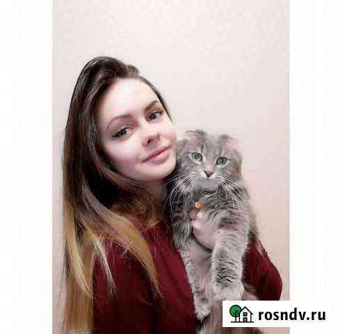 Передержка животных Оренбург