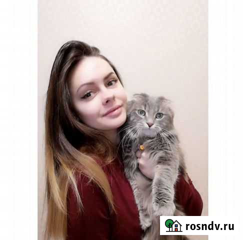 Передержка животных Оренбург - изображение 1