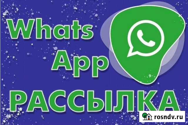 Рассылка whatsapp Санкт-Петербург - изображение 1