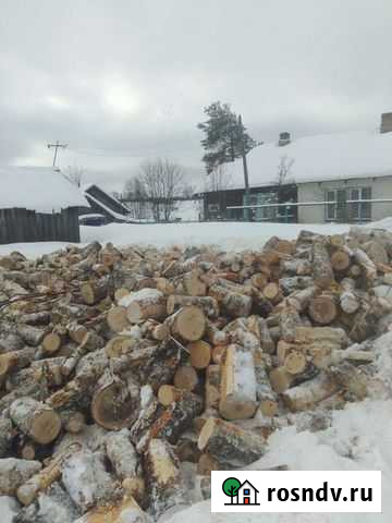 Услуги Петрозаводск - изображение 1