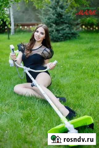 Ремонт бензотриммеров Калуга - изображение 1