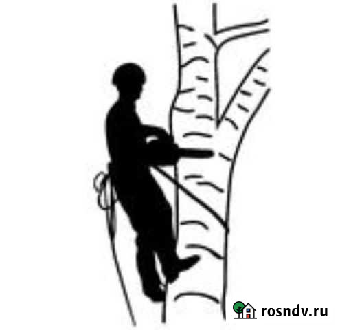 Спил и удаление деревьев Псков - изображение 1