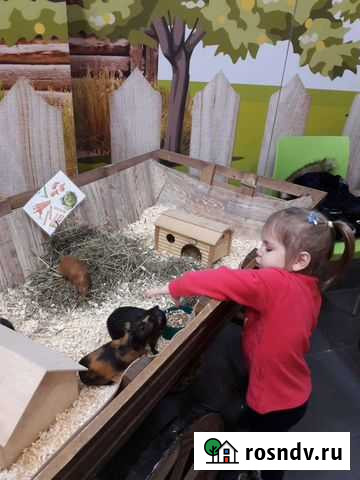 Няня Санкт-Петербург - изображение 1