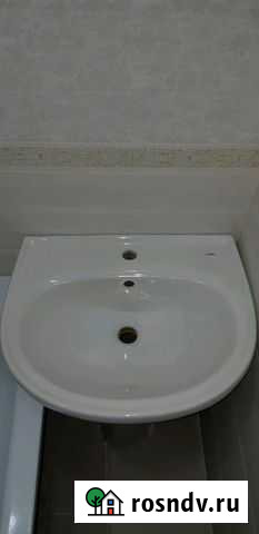 Раковина тюльпан Лиски - изображение 1