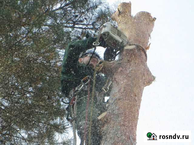 Удаление деревьев дробилка измельчение веток щепор Тамбов - изображение 1