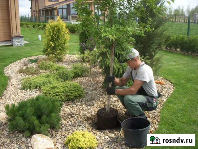 Обслуживание и уход за садом и участком Белгород - изображение 1