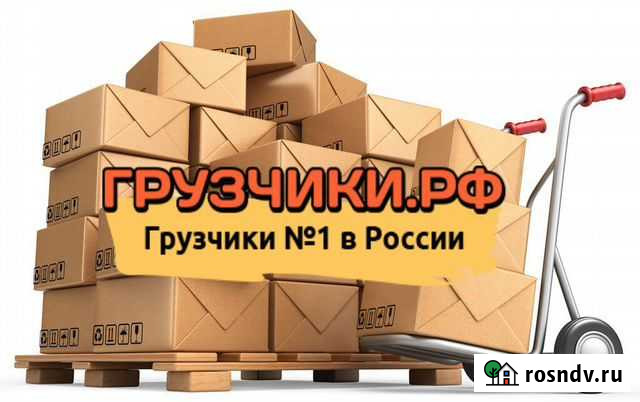 Грузчики Газель Разнорабочие Ноябрьск - изображение 1