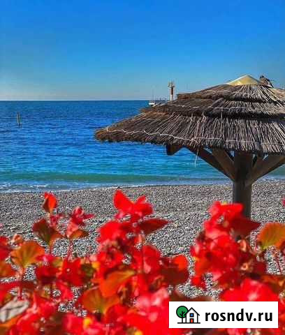 Миграционные услуги Сочи - изображение 1