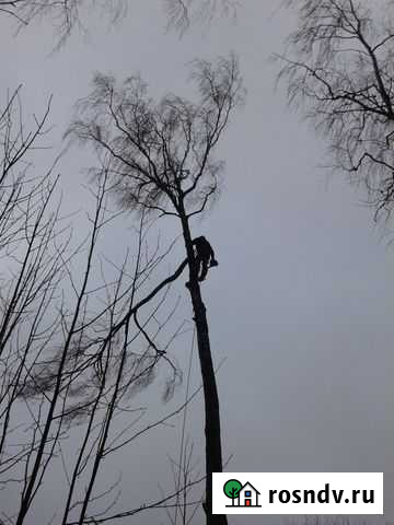 Спил,кронирование и валка деревьев Камешково - изображение 1