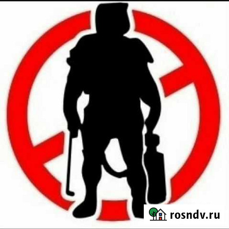 Уничтожение насекомых Пермь - изображение 1