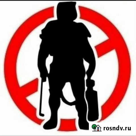 Уничтожение насекомых Пермь - изображение 1