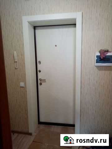 Дверь входная металлическая для квартиры, дома д 2 Коммунарка - изображение 1