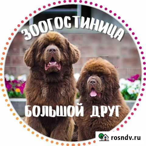 Гостиница для животных Большой друг Верхнее Дуброво - изображение 1