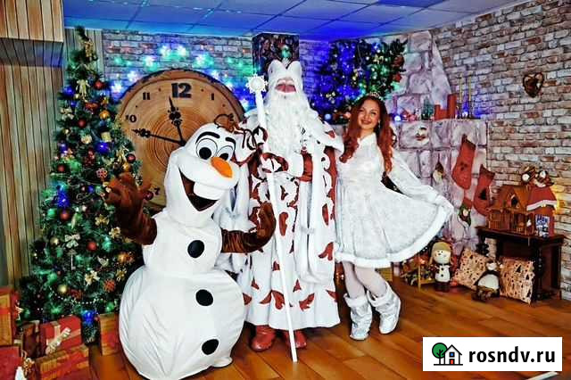 Дед Мороз,Снегурочка,снеговик олаф на дом,корпорат Батайск - изображение 1