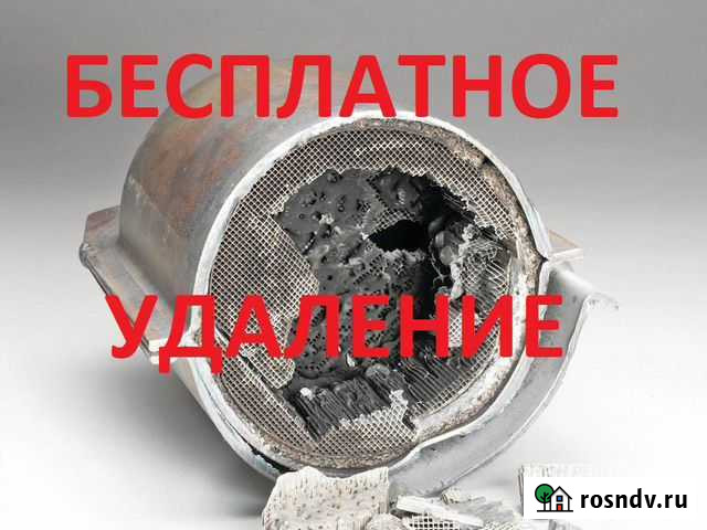 Удаление катализатора бесплатно Балашов - изображение 1