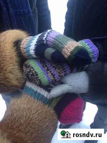 Ветеринар с выездом на дом Кстово - изображение 1