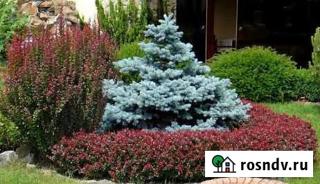 Садовые работы Волосово - изображение 1