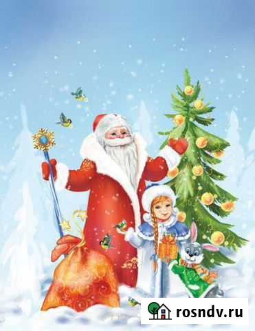 Дед Мороз и Снегурочка Йошкар-Ола - изображение 1