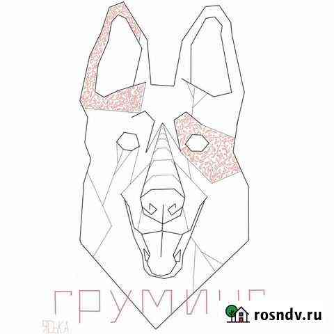 Груминг Оренбург