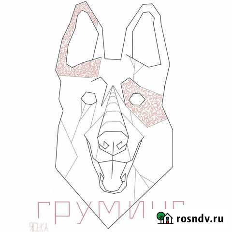 Груминг Оренбург - изображение 1