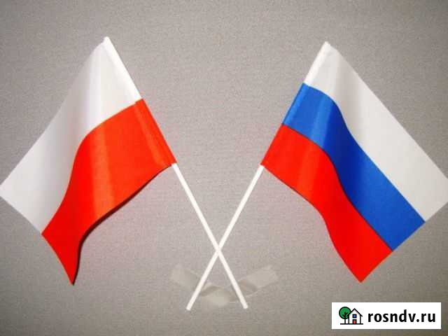 Перевод текстов. Польский язык Санкт-Петербург - изображение 1