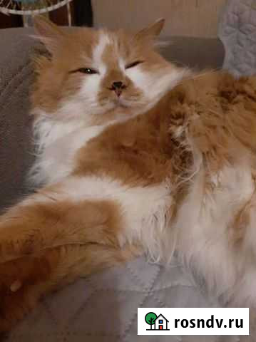 Вязка Пермь - изображение 1