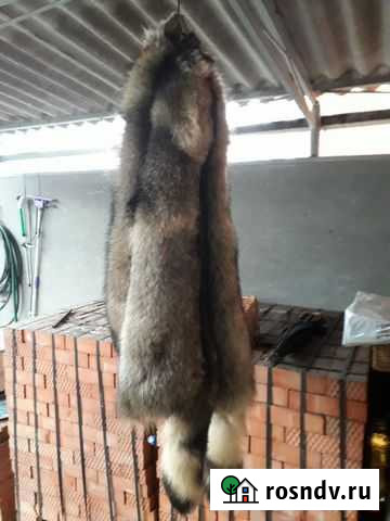 Выделка и покраска шкур Краснодар - изображение 1