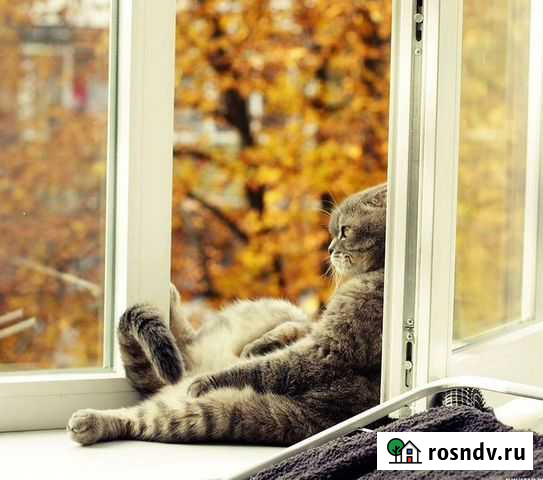 Пластиковые окна Гусь-Хрустальный - изображение 1