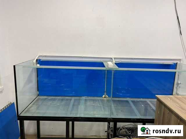 Аквариум Нальчик - изображение 1