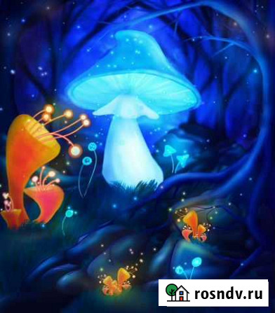 Рисунки на заказ (арт) Пермь - изображение 1