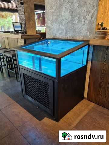 Витрина для морепродуктов Сочи - изображение 1