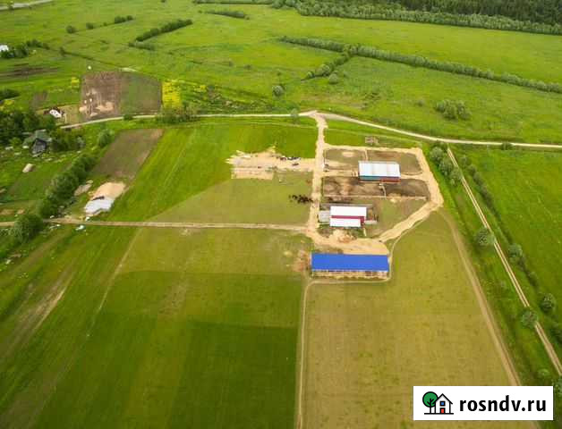 Проектирование: крс небольшая (и большая) мясная ф Войсковицы - изображение 1