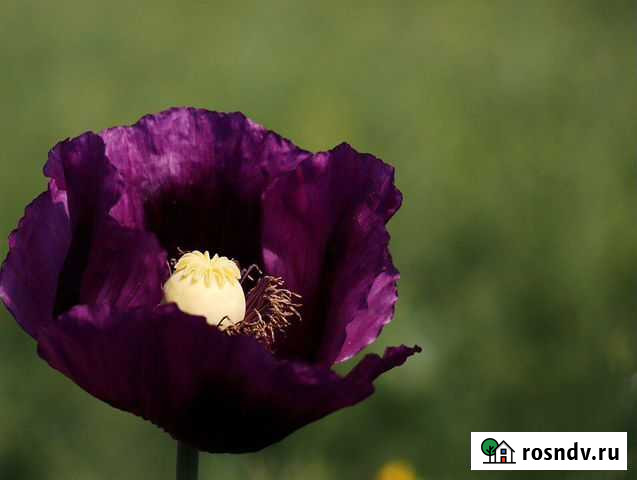 Салон красоты Махачкала - изображение 1