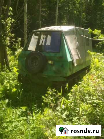 Снегоболотоход Ермаковское - изображение 1