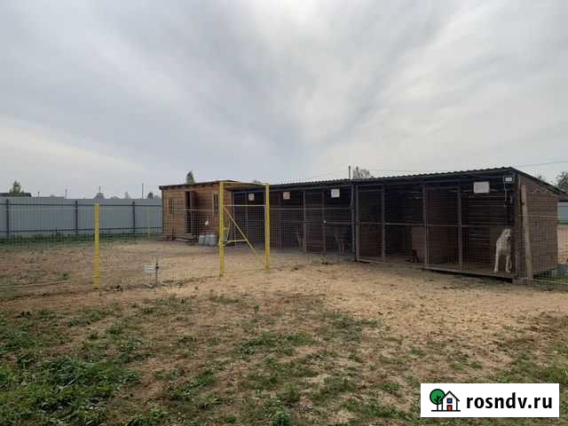 Дрессировка собак / Зоогостиница / Передержка Вязьма - изображение 1