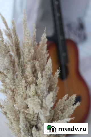 Аренда фотостудии Екатеринбург - изображение 1