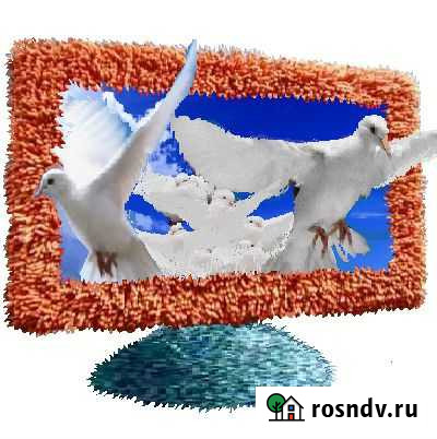 Телевизоры Ремонт Нижний Новгород Нижний Новгород - изображение 1