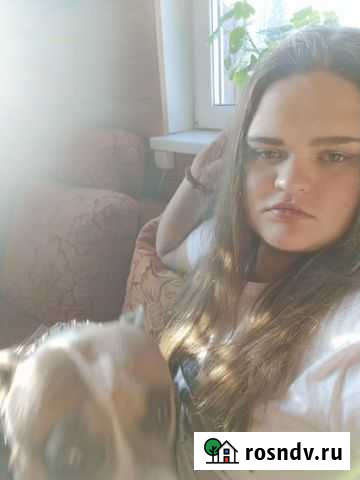 Передержка для вашего любимца Красноярск - изображение 1