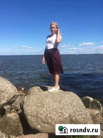 Репетитор по русскому языку Нижний Новгород - изображение 1