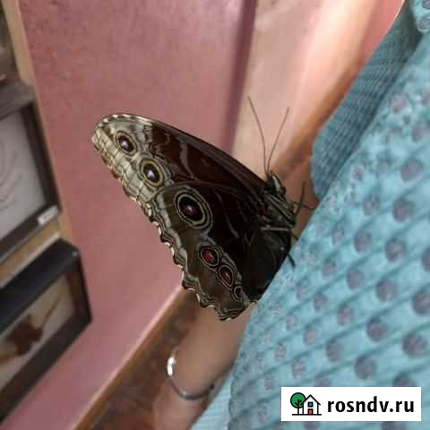 Реставрация одежды Нижний Новгород - изображение 1