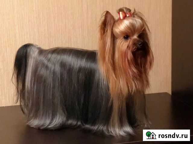 Вязка Вилючинск - изображение 1