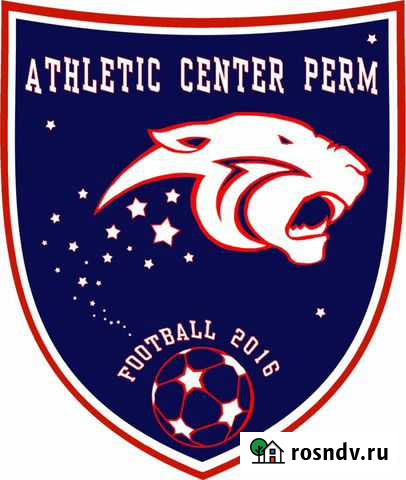 Обучение футболу Пермь - изображение 1