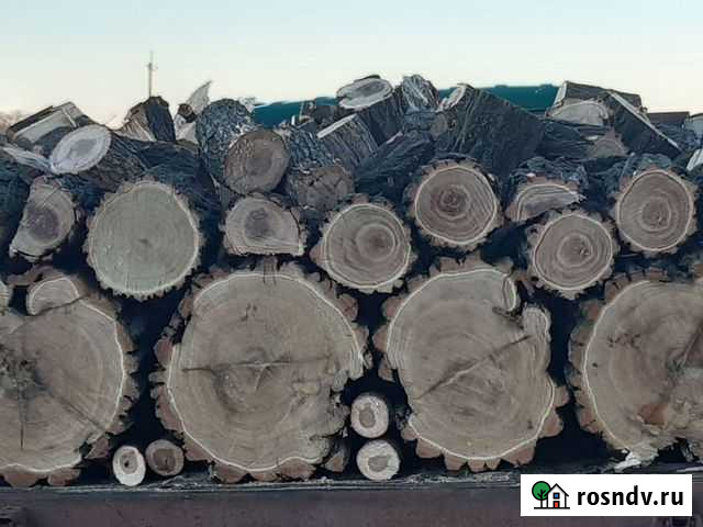 Дрова Кавказская - изображение 1