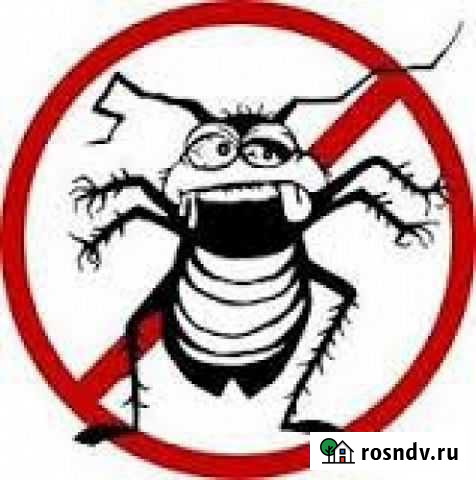 Уничтожение тараканов,клопов,блох Кострома - изображение 1
